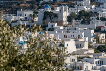 Whitewashed buildings of Apollonia on Sifnos island in Greece looking through olive branches