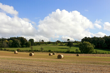 Fototapeta premium Field in Scotland with round hay bales, United Kingdom