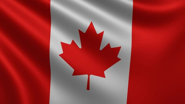 Canadian flag close-up waving in the wind, the Canadian national flag waving 3d, Canadian flag 4k resolution, Polish flag the wave close-up 3d. High quality 4k footage.