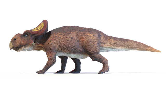 3d rendered dinosaur illustration of the Protoceratops
