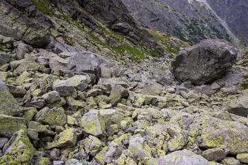 Velka Studena dolina valley in Slovakia on a sunny day © Szabi Bella/Wirestock Creators