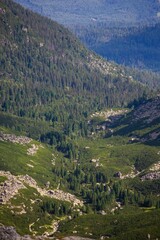 Velka Studena dolina valley in Slovakia on a sunny day © Szabi Bella/Wirestock Creators