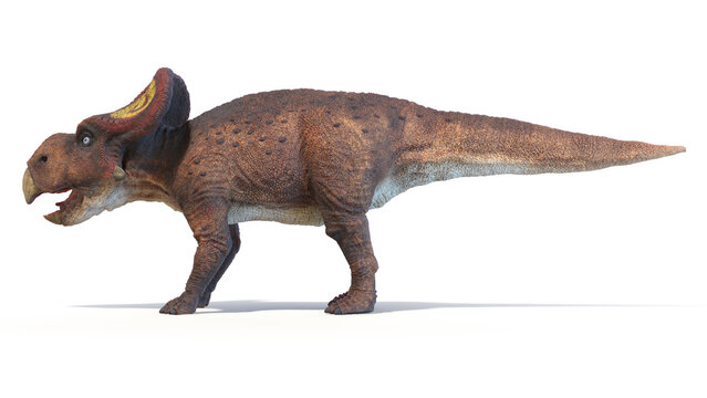 3d rendered dinosaur illustration of the Protoceratops