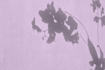 Shadow of orchid flowers on purple concrete wall texture with roughness and irregularities. Abstract trendy colored nature concept background. Copy space for text overlay, poster mockup flat lay 