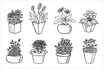 Cute hand drawn houseplant in a pot clipart. Plant illustration. Cozy home doodle set
