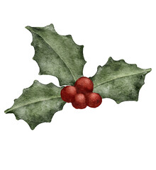 Mistletoe branch with berries, Christmas ornament