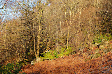 Landscape and scenery in Scotland