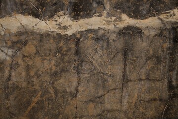 A weathered concrete wall with cracks and peeling paint, showing signs of age and decay.