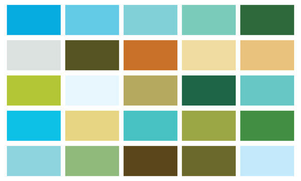 beach color guide vector illustration