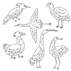 Naklejka premium Bird collection. Collection of cute hand drawn bird doodles. Black on white vector set