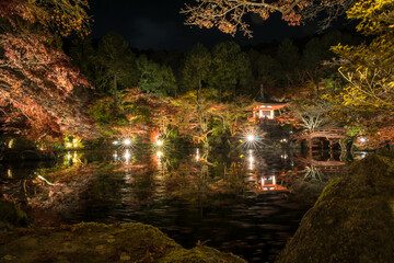 Fototapeta na wymiar 京都 夜の醍醐寺・弁天堂のライトアップされた秋景色