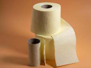 Roll of Toilet paper on an orange background.