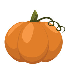 Orange pumpkin vector illustration. Autumn halloween or thanksgiving pumpkin, vegetable graphic icon or print, isolated.