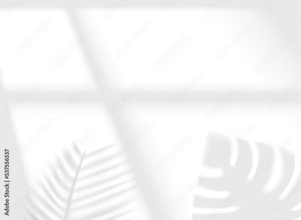 Poster Sun light via the window. Shadow effect with blindes and plants in perspective. Shadow overlay isolated on white background