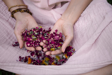 woman hands with red dried  flower petals. close up photo. Potpourri mixture in hands. fragrant...