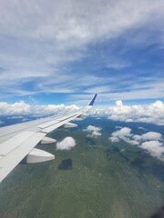 Forest and land view from the airplane window