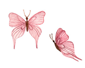 Pink watercolor butterfly
