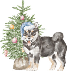 Shiba inu puppy with Christmas tree