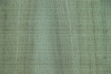 White wood plank texture for background.
