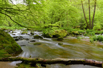 Ilz - Die schwarze Perle