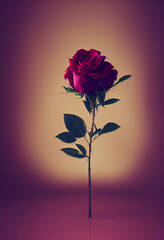 Obraz premium A red rose floral design background backdrop