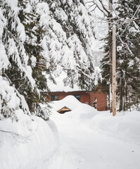Night during Winter in Quebec, Canada