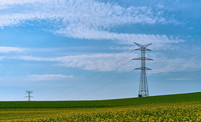 Coexisting electric tower on rapeseed field