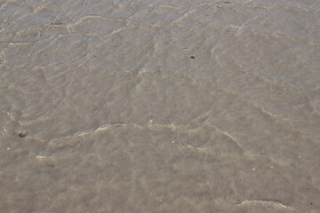 outgoing shallow waves on the beach of the north sea