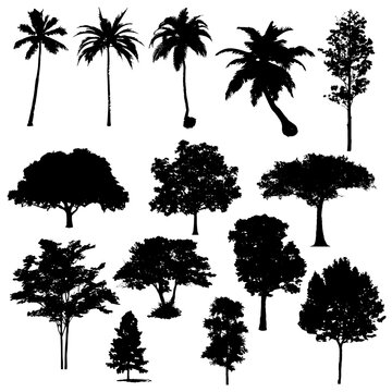 set of trees silhouette 