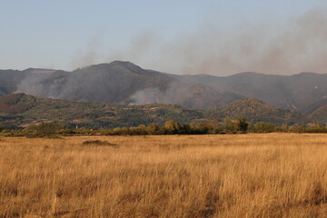 A forest fire smokes on an ignited mountainside. Color landscape of wildfire. 