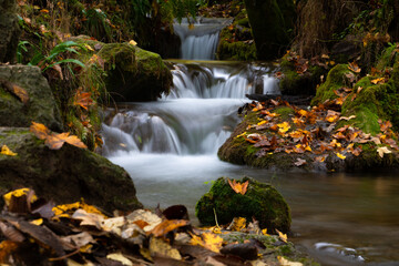 Fototapeta na wymiar “Uracher Wasserfall“ natural reserve in autumn season with colorful leaves and longtime exposure of Bruehl creek cascades in Bad Urach Germany near popular natural attraction and waterfall sight 