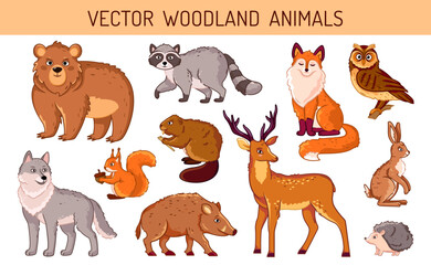 A set of forest animals on an isolated background. Bright and cute animals in cartoon style vector