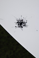 Artistic abstract dark bird poop on the white table. Minimalist illustration photo of droppings.