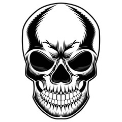 Monochrome illustration of skull