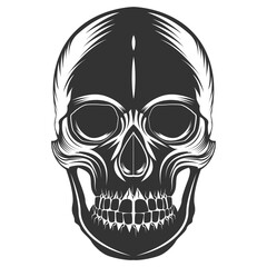 Monochrome illustration of skull