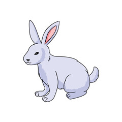 Obraz premium bunny cartoon. cute rabbit design illustration. Easter icon, sign and symbol.