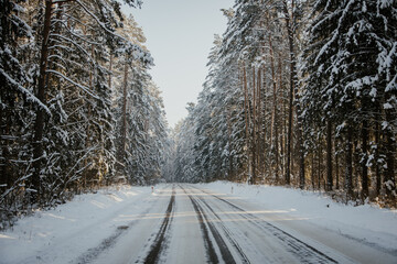 Obraz premium winter forest landscape with snow