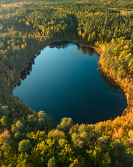 Autumn. A small lake hidden in the middle of the forest. View from above. Photo from a drone - obrazy, fototapety, plakaty