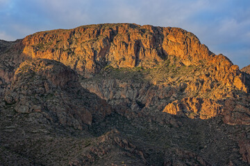 Spring landscape of the Superstition Wilderness Area at sunrise,  Apache Trail, Tonto National Forest, Arizona, USA