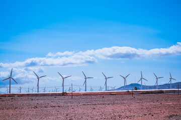 Eolian turbines with clear sky in south Gran Canaria - obrazy, fototapety, plakaty