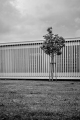 Modern city library black and white