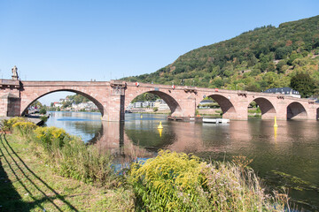 Fototapeta na wymiar Alte Brücke Heidelberg 2