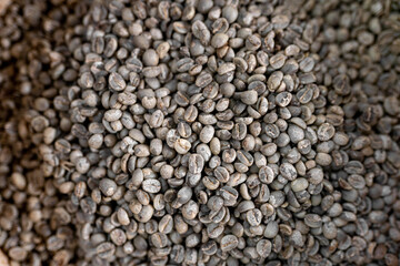 Texture of white coffee beans ready for roasting