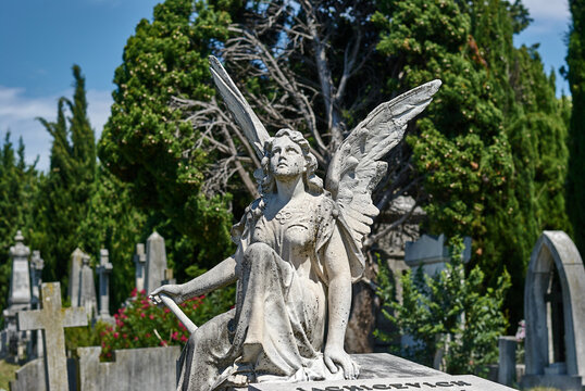 ANGELI DI MARMO