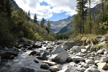 torrente di montagna 