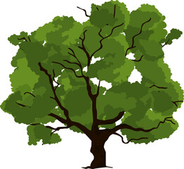 Oak icon. Green forest tree. Nature symbol