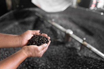 Adult man holding dark roasted coffee grains on top of the cooling tray