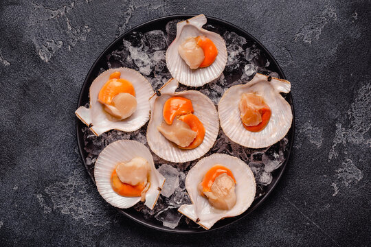 Scallop is placed on ice