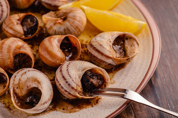 snails with butter on a plate