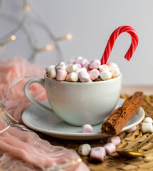 Hot chocolate with marshmallow